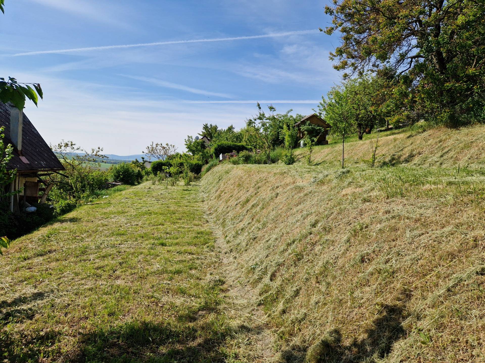 20250514_094713 (002).jpg